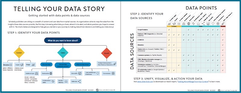 Data graphic preview